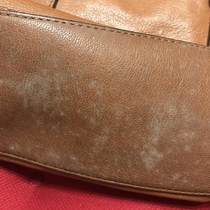 How to clean 2024 leather bags with molds